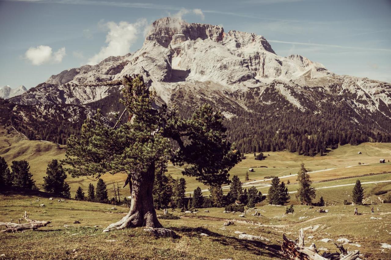 Garni Bergblick Hotel Braies  Bagian luar foto
